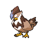 Shiny Staraptor